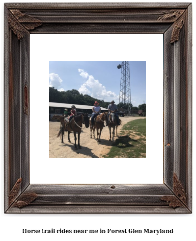 horse trail rides near me in Forest Glen, Maryland